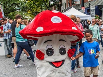 Kennedy Mushroom Festival