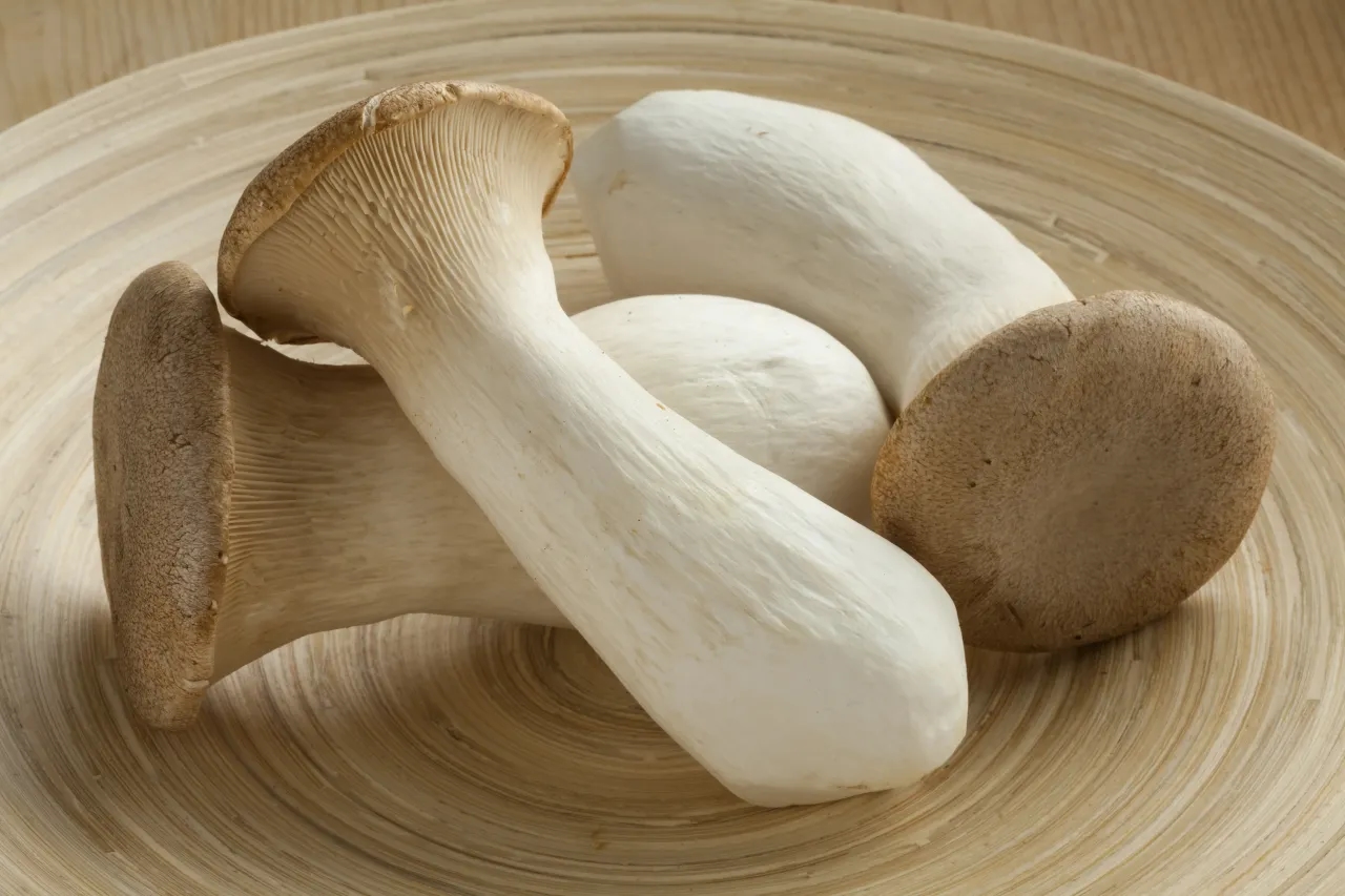 King Oyster Mushroom