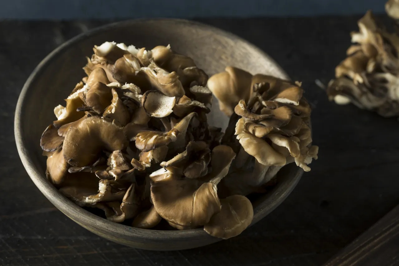 Maitake