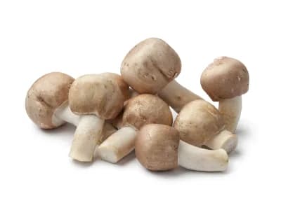 Almond Agaricus Subrufescens