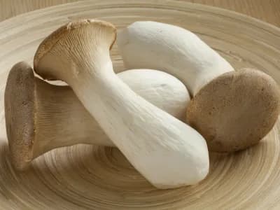 King Oyster Mushroom