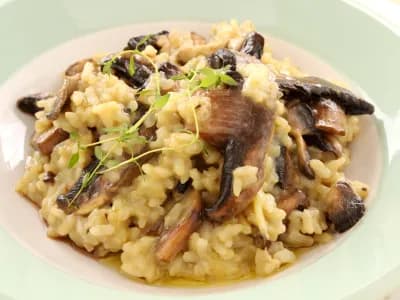 Risotto Food