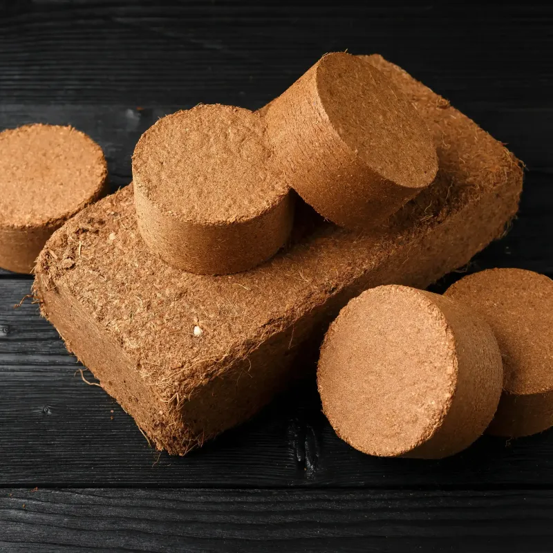 Coir