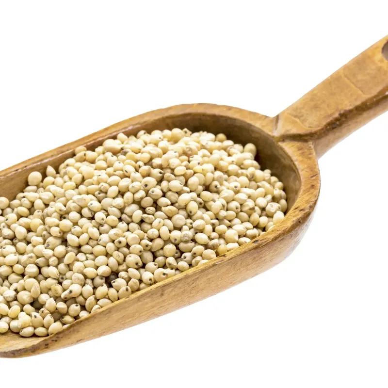 Grain