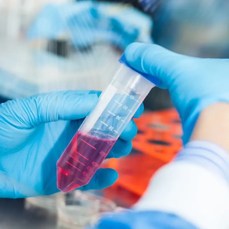 Lab