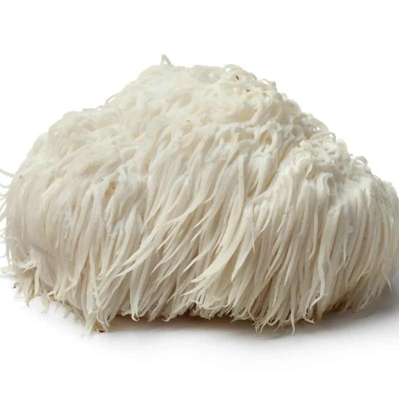 Lions Mane