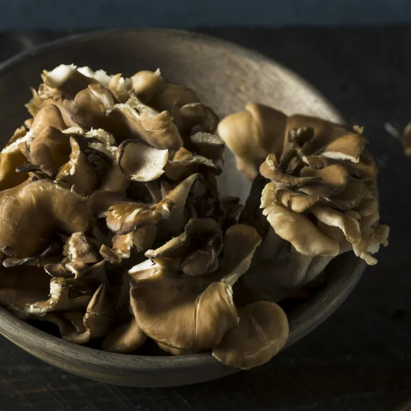 Maitake